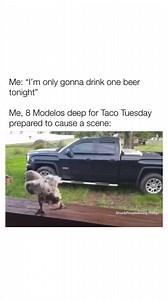 Taco Tuesday is a dangerous game when you forget to eat the tacos before the tequila starts rollin | Funny memes videos | Friends leisure drinks style | Holiday tv games | Drunk people doing things #funnyvideos #funnymemes #drunk #drunkpeople #doingthings #funny #memes #usa | Drunk People Doing Things