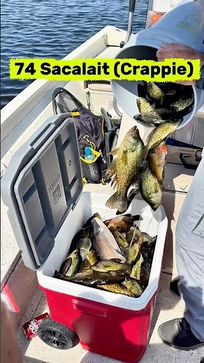 🎣 Sacalait Fishing !Crappie Action on the Bayou !!