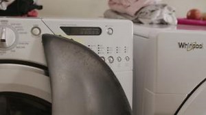 1.3K views | Want to support healthy oceans this #EarthDay? Wash your laundry in cold to reduce the amount of microfibres shed from your clothes. Microfibres from laundry are one of the largest sources of microplastics in our ocean. Learn more at www.switchtocold.ca #MetroVancouver #EarthDay #PlasicVsPlanet #switchtocold | Metro Vancouver | Facebook