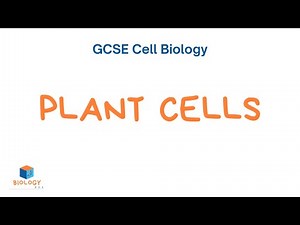 Plant Cells (GCSE Biology - Cell Biology #2)