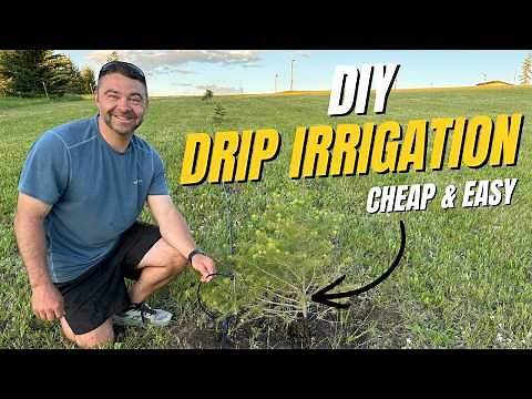 DIY Above Ground Drip Irrigation - The Cheap and Easy Way!
