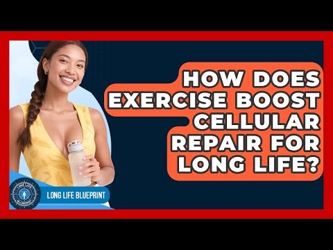 How Does Exercise Boost Cellular Repair For Long Life? - Long Life Blueprint