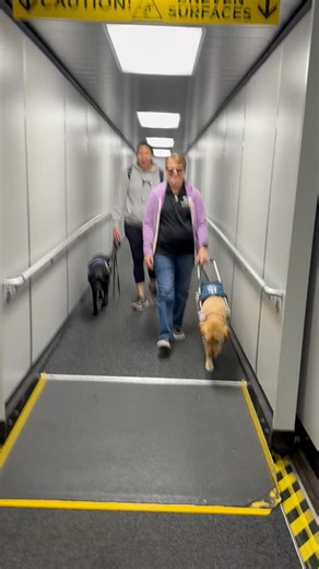 Living With a Guide Dog on Reels
