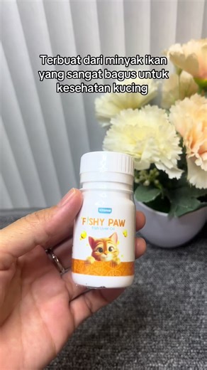 Kiyopaw Fish Oil Benefits for Cat Health