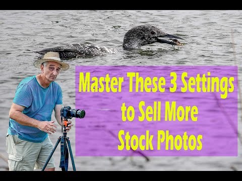 Master These 3 Settings to Sell More Stock Photos