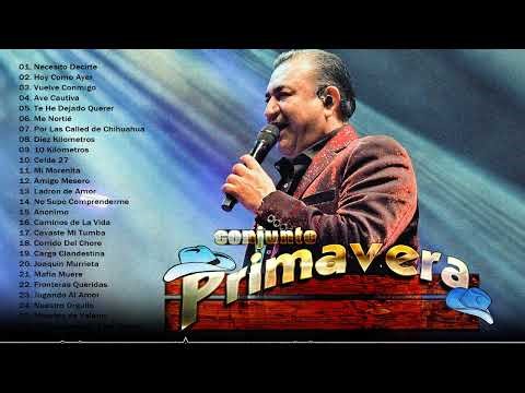 Conjunto Primavera Sus Mejores Exitos / Puras Romanticas Para Enamorarse Mas / Lo Mejor de Lo Mejor