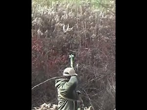 PA Bow season highlights 2025