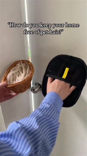 cocker spaniel 🦮 on Instagram: "Pet Hair Removal Gloves 🤩 Link in bio to get yours 🛒"