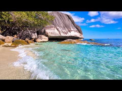 Unspoiled Paradise 🏝 Tropical Beach Seychelles & Ocean Waves Sounds