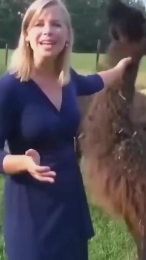 More When Live TV goes Wrong #fyp #caughtoncamera #tv #live #fails #gonewrong