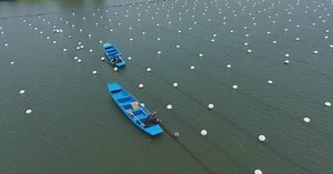 Deqing's freshwater pearl farming system gains global recognition