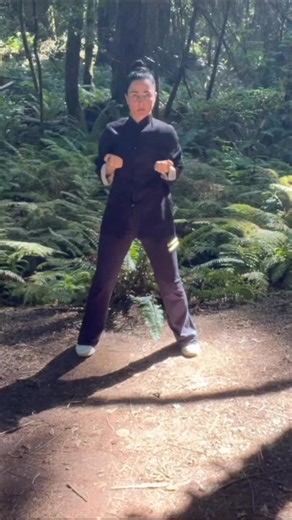 4K views · 190 reactions | ⚔️ Biu Jee Form - Traditional Wing Chun | Kung Fu Kendra | Facebook