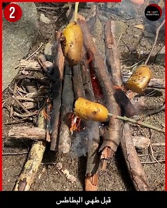 423K views · 5.1K reactions | 5 أطعمة يجب ألا تتناولها أبدًا كن حذراً يا "نايت فام"! يمكن لهذه الأطعمة الخمسة أن تكون خطيرة جداً! ليس الهدف من هذا الكلام إخافتك وإنما تذكيرك بأن تكون حذرًا فيما تتناوله! آمل أن تشاركها لزيادة الوعي. | Project Nightfall عربي | Facebook