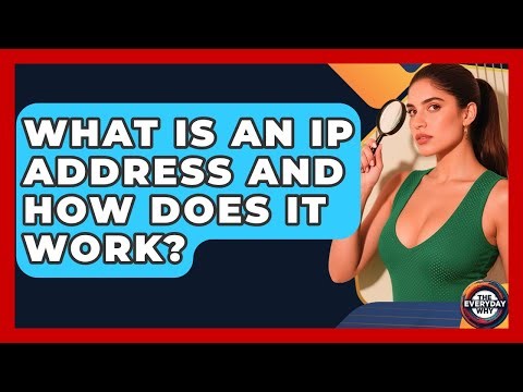 What Is An IP Address And How Does It Work? - The Everyday Why