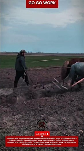 Plow Fields Faster Using This Traditional Horse Method!