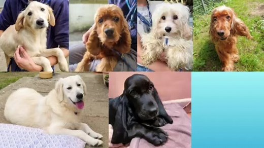 21K views · 250 reactions | MANY TEARS SPECIAL SEVEN Once upon a...