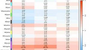 WGCNA代码一键运行出图版！无BUG！