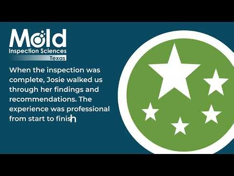 What a Start-to-Finish Professional Mold Inspection Looks Like
