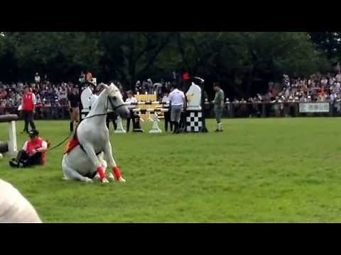 馬のお座りからの飛び蹴り 愛馬の日2015