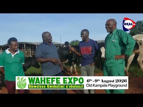From Social Worker to Multi-Millionaire Farmer 💰🌱 | Dez Byuma Oswaldo Story