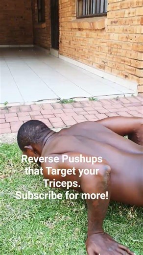Reverse Pushups for Tricep Strength and Definition. #fitness #calisthenics #homeworkout #weightloss