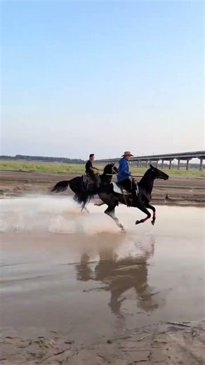 Galloping Horses on the Yellow River: A Thrilling Ride