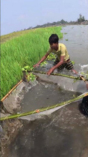 Easy Fish Catching Method