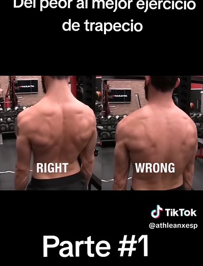 Del peor al mejor ejercicio del trapecio #deficitcalorico #paratiiii #athleanx #protenias #gym #masamuscular #masamuscular #deltoides