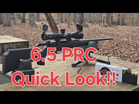 CZ 600 Alpha 6.5PRC.. Quick Look and Shooting Review!