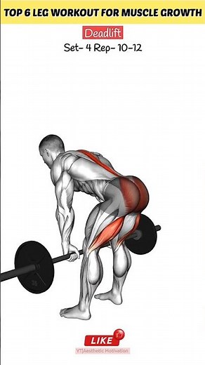 TOP 6 Leg Workout for Muscle Growth #workout #legworkout