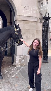 🐴 Witness the mesmerizing bond between this majestic horse and an adorable girl! 😍🌟 Get ready to be blown away by their heartwarming interaction! 💫🎥 Don't miss out on this incredible moment that will leave you in awe! 🤩🎉 #UnbelievableConnection #GirlAndHorseBond #PureMagic #fbviralvideoreels #trendingreels2023 #royalkingsguardshorse #london #enland4k | The Royals King's Guard's England