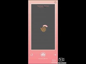 🥓 𝓑ＡＣＯＮ – Ｔｈｅ Ｇａｍｅ | Old Bacon 🪰👀