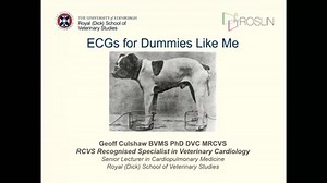 ECGs for Dummies Like Me