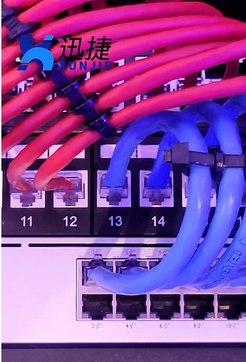 Exploring Cat6A and Cat5e Network Cable Aesthetics