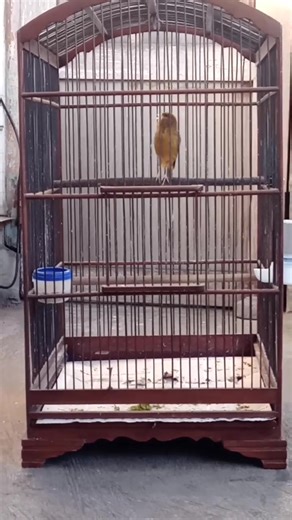 Budi Auan Santoso on Reels | Facebook