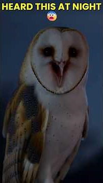 This Owl’s Scream Terrifies People 😨#owl