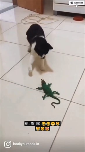 **"Cat Got Scared of a Tiny Lizard — Baby Can’t Stop Laughing!" 😂🐱🦎