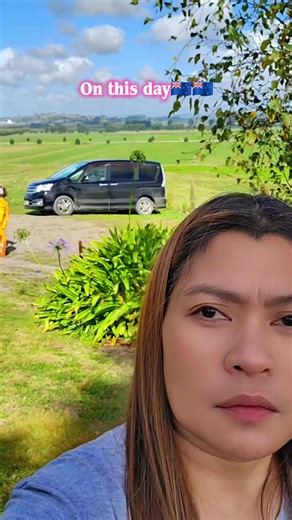 A Day on the Diary Farm in New Zealand