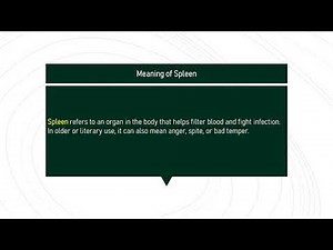 spleen # Expand Your English Vocabulary
