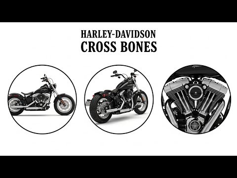 Every Detail of the Harley-Davidson Cross Bones Explained in 4 Minutes