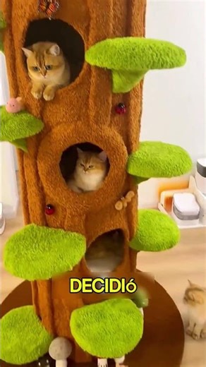Amazing DIY Cat Tower 😱 | Cats Love Their Dream House 🐱✨