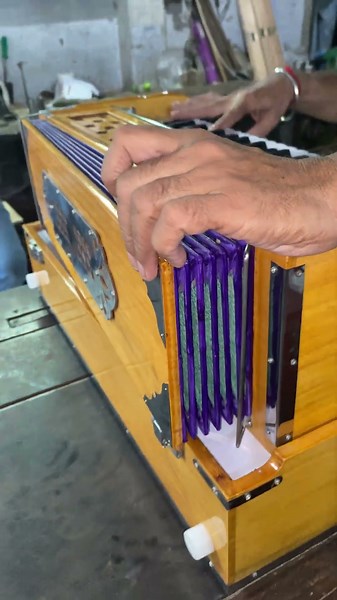 #music #instrumental #orignal#bali#gian#bass#male#khadi#kangi#brand#bali #harmoniumcover #keyboard