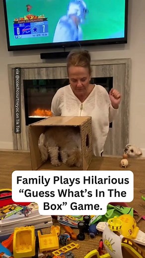 161K views · 946 reactions | I can't stop laughing!  #guess #guessinggame #pranks #funnypranks #dogs #animals #familyprank | InspireMore | Facebook