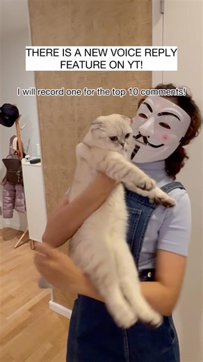 Tell me your name!! #kikicutekitty #comment #relatable #dance #scottishfold #fypage #iloveyou