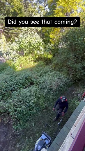 Understanding the Difference Between Path and Pathway