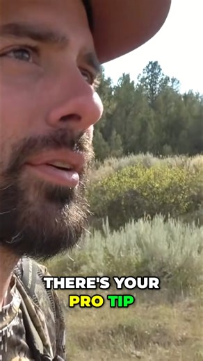 The ultimate meat hauler (ham sandwich) backpack! #protip #buckstorm #bowhunting