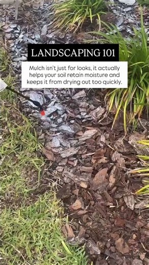 Mulch Does More Than Look Good