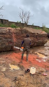 184K views · 1.4K reactions | Logging machines and saw blades in South Africa and Nigeria markets—how are they performing? Are they sold in other African countries? Ross wants to invest more in this product, with 500 comments supporting it. I will begin talks with manufacturers for investment in November. | Ross Boss Business | Facebook