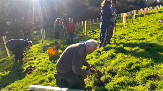 🌳 Day Two of Ham Hill’s National Tree Week Challenge! 🌳 What an incredible effort! A huge shout‑out to the brilliant Somerset Council Green Estates teams and colleagues from Climate and Place — the guardians of Somerset’s environment. Today they’ve worked hard to help us reach our ambitious goal of planting 3,000 new trees at Ham Hill. 💪 And they’ve done us proud with 370 more trees planted today, bringing us to a fantastic 770 trees in the ground so far this week!👏 👏 🎉 None of this would 