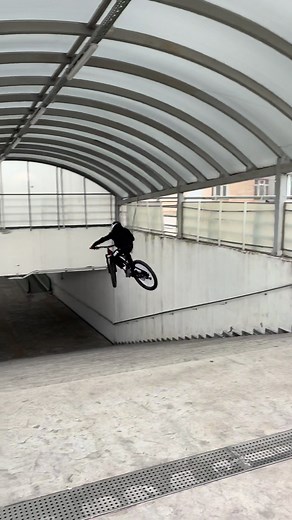 Exploring Freeride Downhill Mountain Biking at Canyon